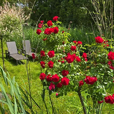 Design 2. Reihe Woerthsee Mit Garten Und Grosser Terrasse Appartamento *